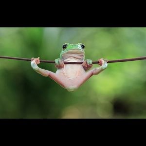 Meet your Posher, Alex